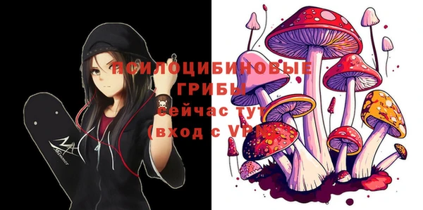 прущая мука Вязники